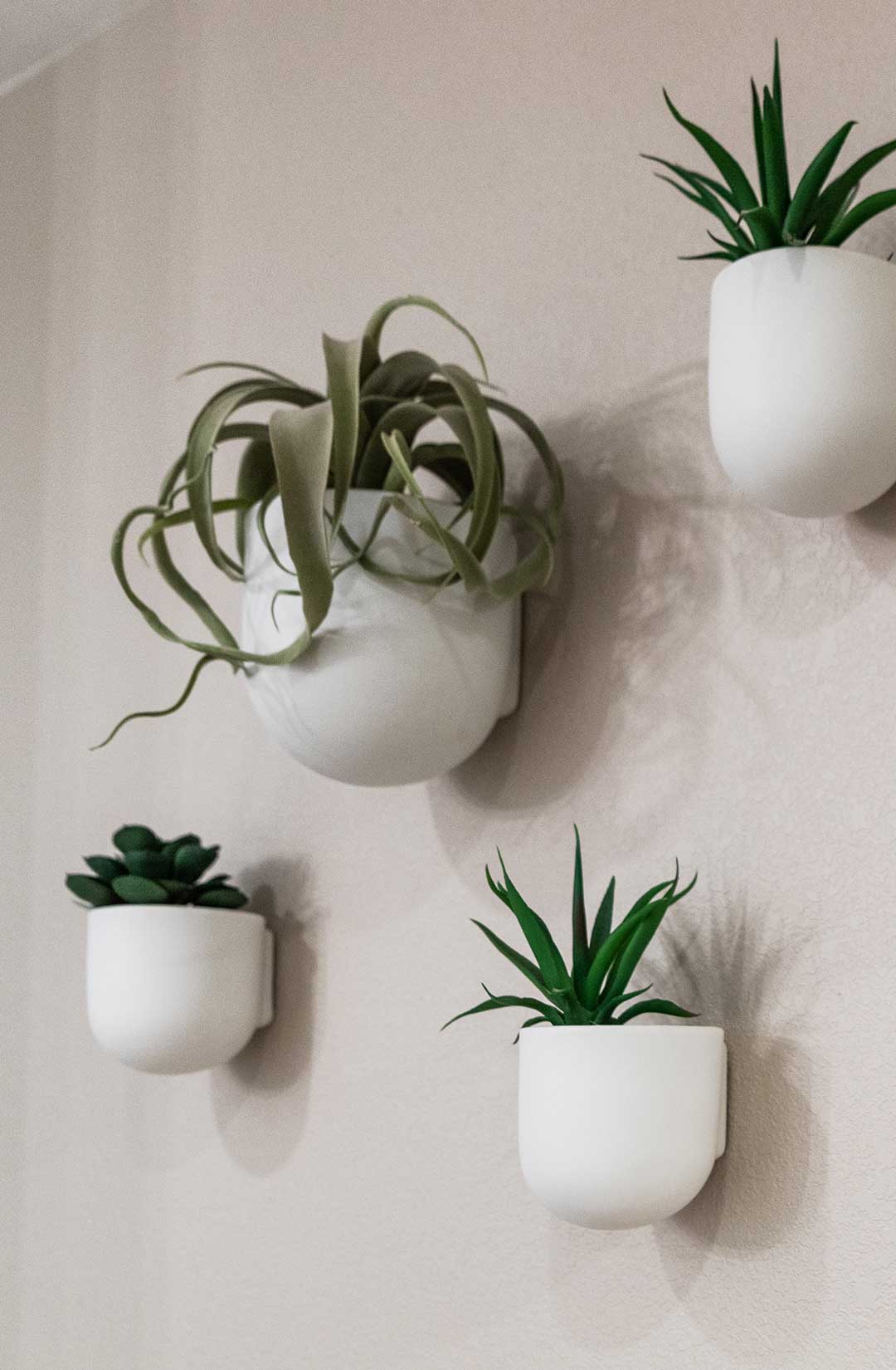Wall planters show with a detailed shot